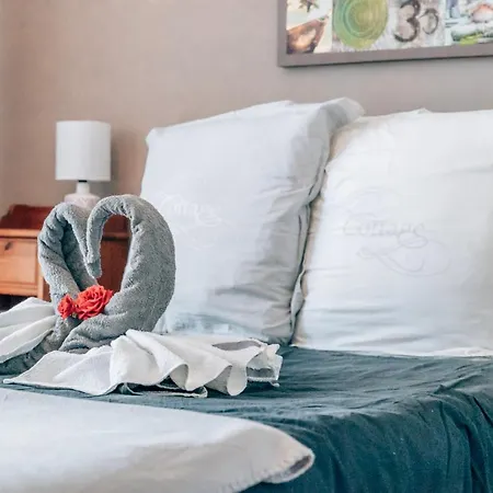 Villa Maison Familiale Avec Piscine Privee A Pied Frais De Gestion Du Sejour 160e En Supplement A L'arrivee Family With Private Pool Within Walking Distance Management Fee 160e Payable Upon Arrival *